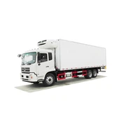 Heavy Freezer Delivery Truck